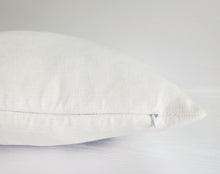 Load image into Gallery viewer, Plush Pillow Cover