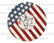 Load image into Gallery viewer, Land Of The Free American Flag (Wind Spinner)