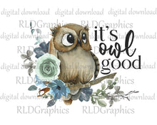 Load image into Gallery viewer, It's Owl Good #2 (Full Size)