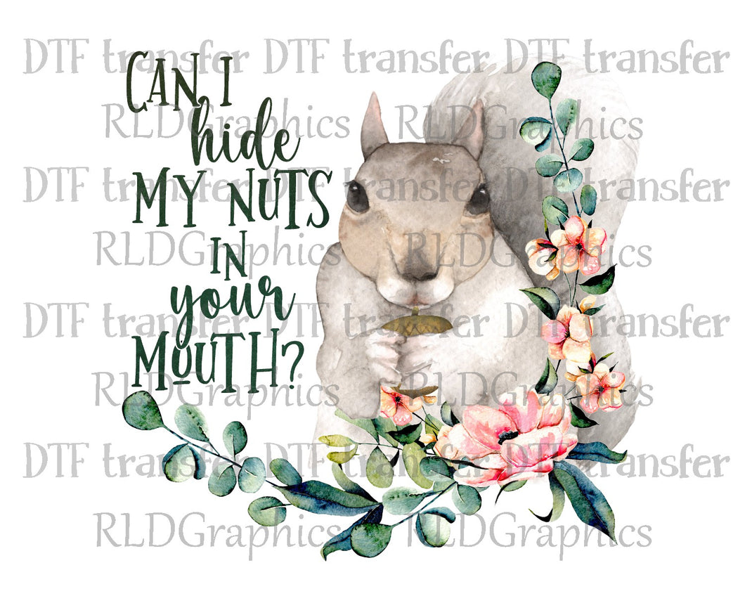 Can I Hide My Nuts - DTF Transfer