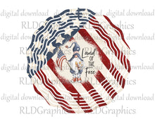 Load image into Gallery viewer, Land Of The Free American Flag (Wind Spinner)
