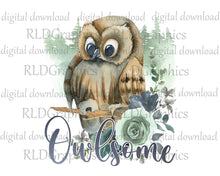 Load image into Gallery viewer, Owlsome (Full Size)
