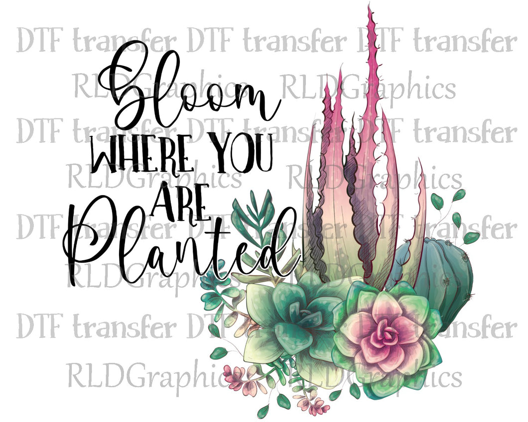 Bloom Where You Are Planted - DTF Transfer