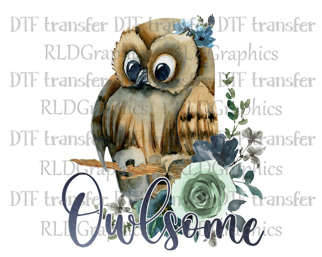 Owlsome - DTF Transfer