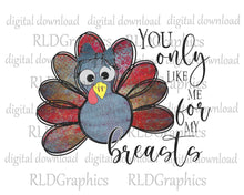 Load image into Gallery viewer, You Only Like Me For My Breasts - Thanksgiving Turkey
